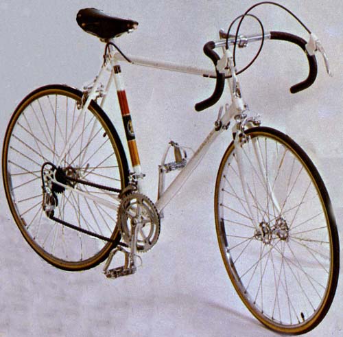 1969 Raleigh professional