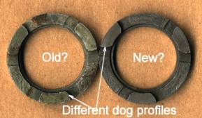 different dog profiles