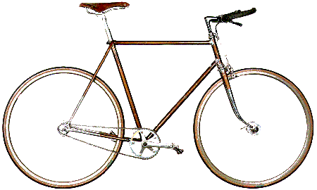 Raleigh International Fixed gear