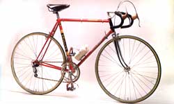 Raleigh Team Professional