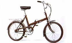Raleigh Twenty Folder