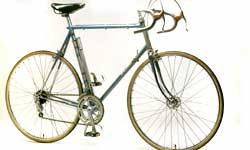 Raleigh Professional