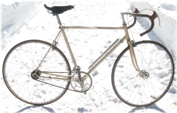 brush-painted fixie