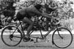 Moulton Stowaway