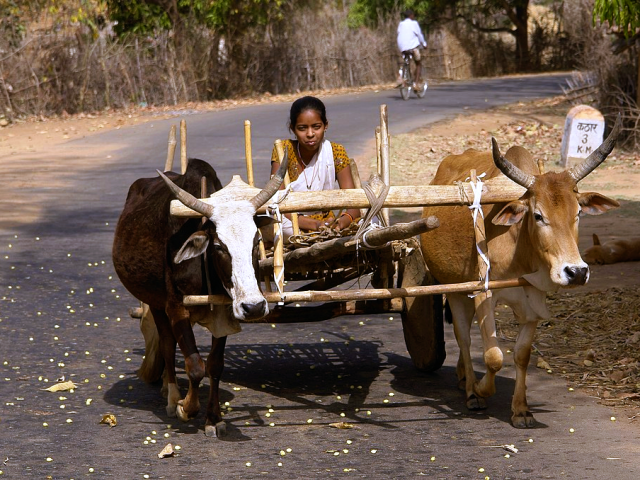 A road in India