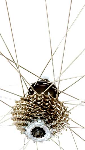 Cassette Removal/Installation