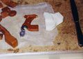 Thumbnail for version as of 08:53, 5 October 2026