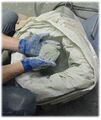 Thumbnail for version as of 08:02, 5 October 2026