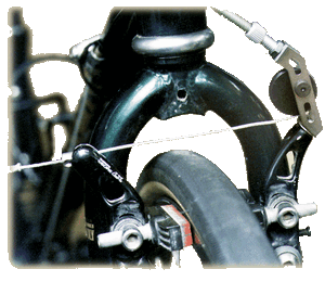 V-Daptor