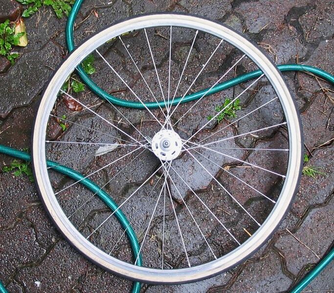File:Wheel3b.jpg