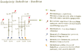 Thumbnail for version as of 18:01, 5 October 2026
