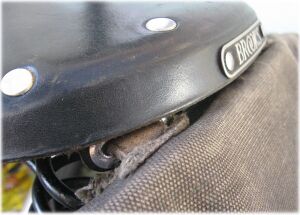 straps inside bag