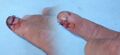 Thumbnail for version as of 13:02, 5 October 2026