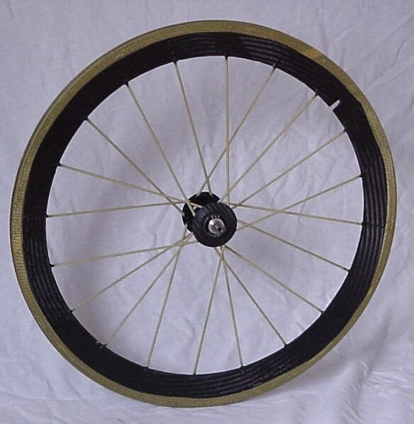 File:Wheel100.jpg