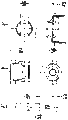 Thumbnail for version as of 08:14, 5 October 2026