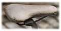 Thumbnail for version as of 20:25, 6 October 2026