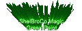 Thumbnail for version as of 07:28, 5 October 2026
